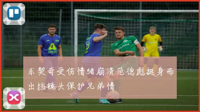 东契奇受伤情绪崩溃范德彪挺身而出挡镜头保护兄弟情